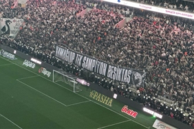 tek şampiyon
